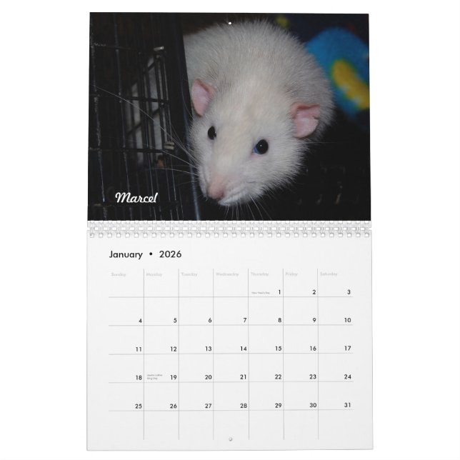 Rat of the Day, er, Month Calendar (Jan 2026)