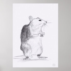 Rat Original Drawing 24x36 Poster