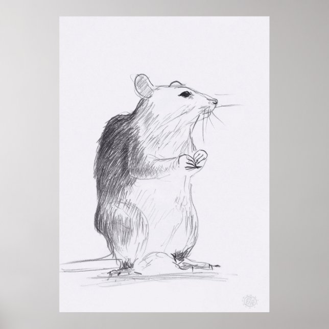 Rat Original Drawing 24x36 Poster (Front)