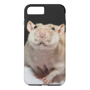 Rat Phone Case