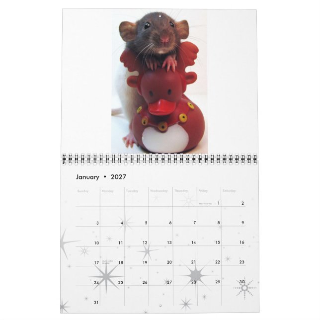Rat Picture 2012 Calendar (Jan 2027)