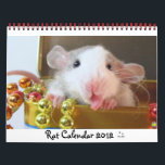 Rat Picture 2012 Calendar<br><div class="desc">12 months of rattie cuteness at your fingertips!</div>