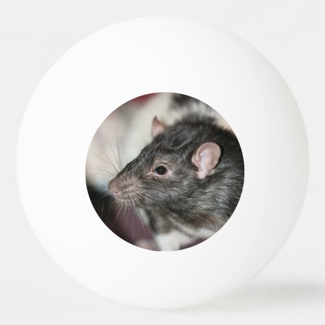 Rat Ping Pong Ball (Front)