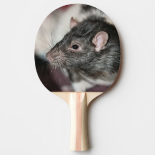 Rat Ping Pong Paddle