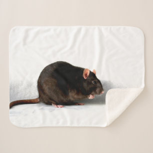 Rat sba sherpa blanket