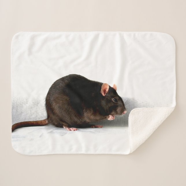 Rat sba sherpa blanket (Front (Horizontal))