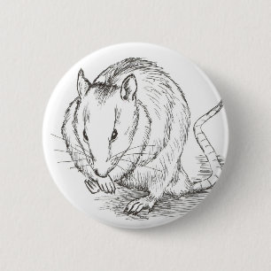 rat sketch 6 cm round badge