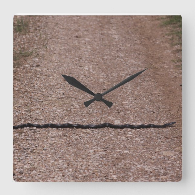 Rat Snake Clock (Front)