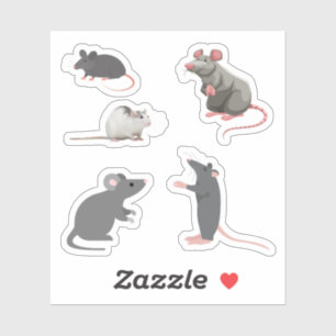 Rat Stickers