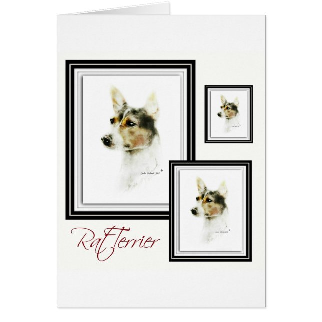 Rat Terrier (Front)