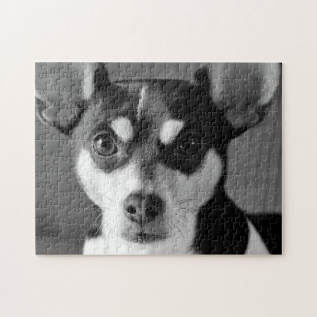 Rat Terrier, Black and White, Jigsaw Puzzle (Horizontal)