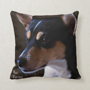 Rat Terrier Cushion