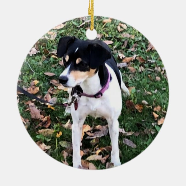 RAT TERRIER DOG CHRISTMAS ORNAMENT (Back)