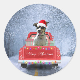 Rat Terrier Dog in Snow sitting in Christmas Truck Classic Round Sticker