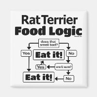 Rat Terrier Food Logic