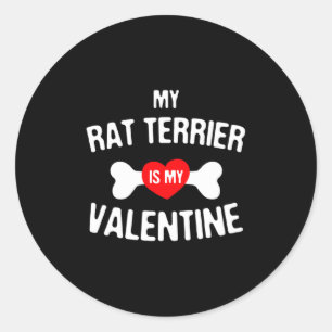 Rat Terrier Is My Valentine Rat Terrier Dog  Classic Round Sticker