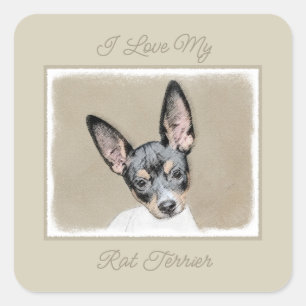 Rat Terrier Painting - Cute Original Dog Art Squar Square Sticker