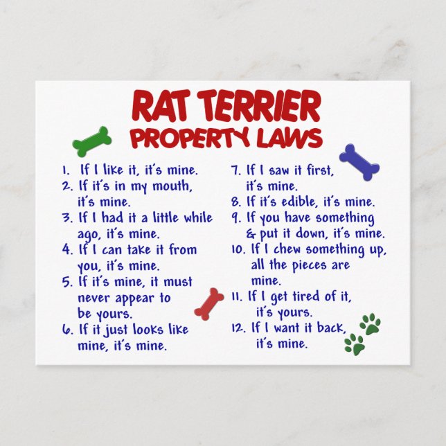 RAT TERRIER Property Laws 2 Postcard (Front)