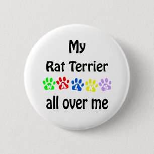 Rat Terrier Walks Design 6 Cm Round Badge