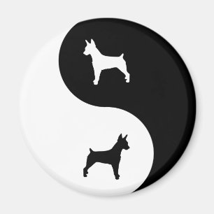 Rat Terrier Yin Yang Magnet
