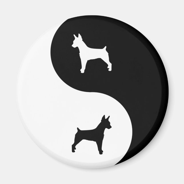 Rat Terrier Yin Yang Magnet (Front)