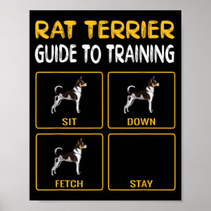Rat Terriers Owner Gift Dog Themed Poster