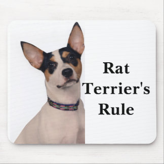 Rat Terrier's Rule Mouse Pad