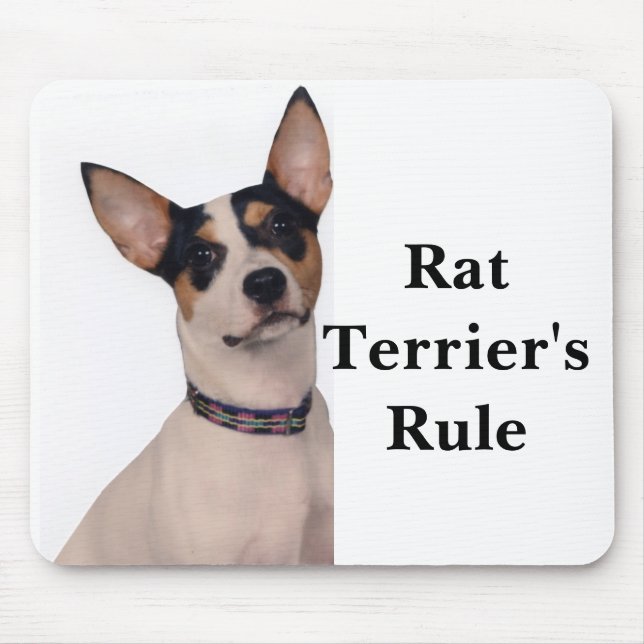 Rat Terrier's Rule Mouse Pad (Front)