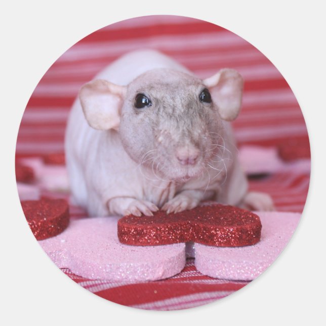 Rat Valentine Stickers (Front)