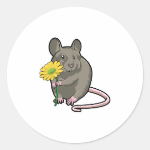 Rat with yellow Flower Classic Round Sticker