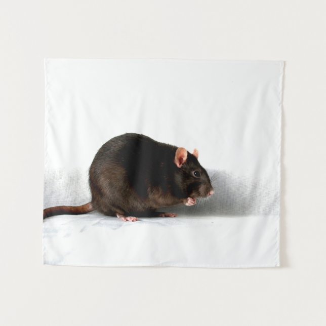 Rat wtcnm tapestry (Front (Horizontal))