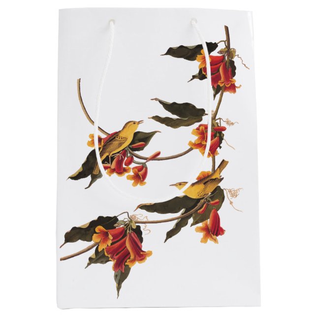 Rathbone's Warbler Song Bird on Crossvine Medium Gift Bag (Front)
