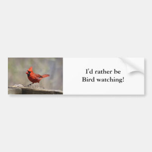 Rather be bird watching bumper sticker (Cardinal)