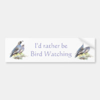 Rather be Bird Watching California Quail Quote Fun