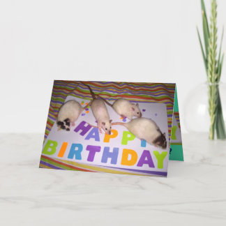 Rats Birthday Card! v2 Card