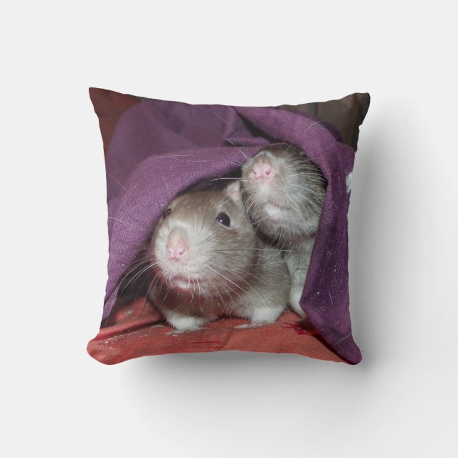 rats hiding American Mojo pillow (Front)