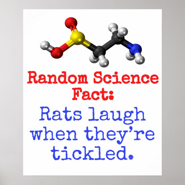 Rats Laugh When They're Tickled - Science Fact Poster (Front)