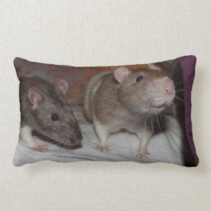 rats lumbar pillow