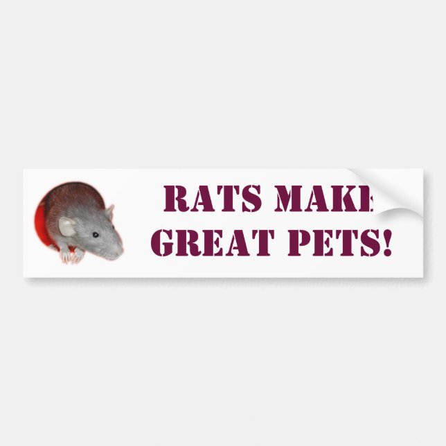 Rats make great pets! Bumper Sticker (Front)