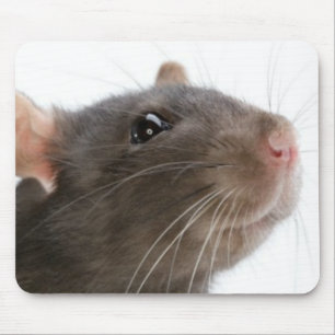 Rats!!! Mouse Pad