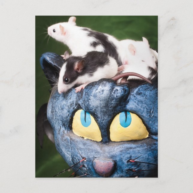 Rats on the brain Postcard (Front)