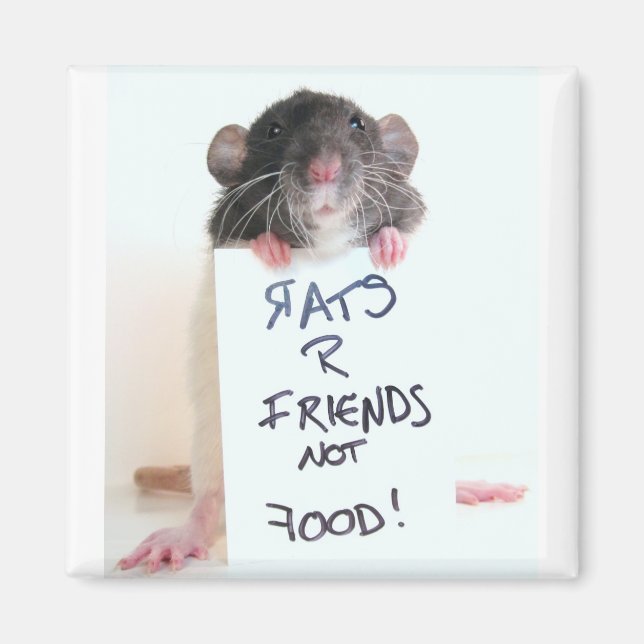 Rats R Friends Not Food 2 Magnet (Front)