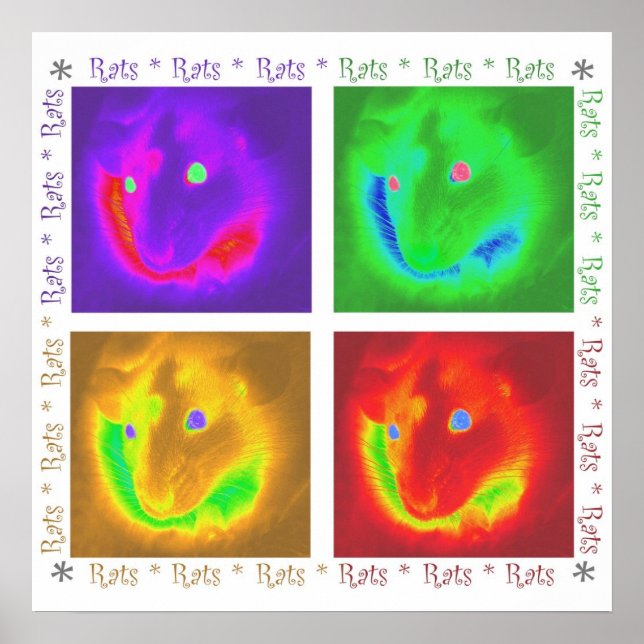 Rats Rats Rats Poster (Front)