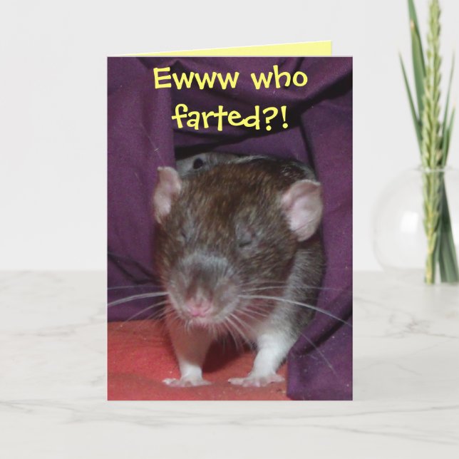 rats talking customisable greetings card (Front)