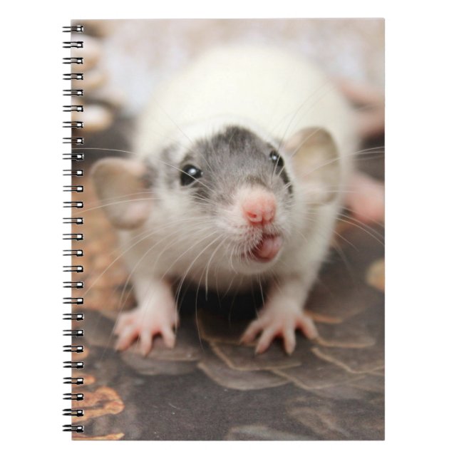 Rat's tongue! notebook (Front)