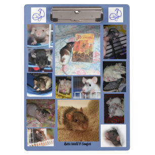 Rattie Clipboard