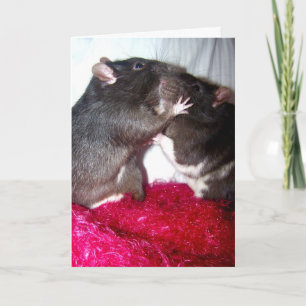 Rattie Kisses Card