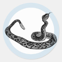 rattle snake