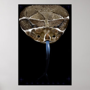 Rattle Snake Head black Poster