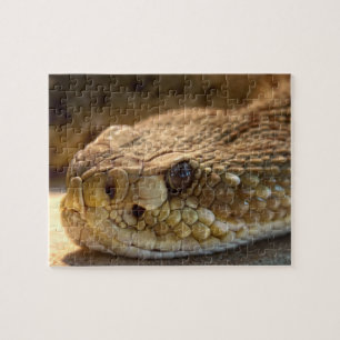 Rattle Snake's Head Jigsaw Puzzle